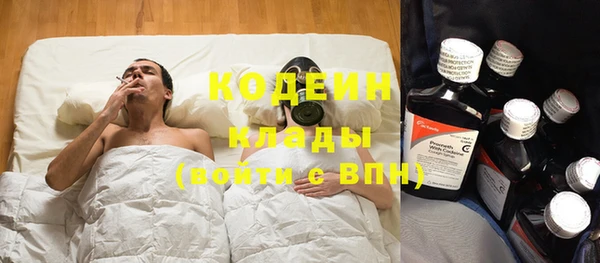 индика Алзамай