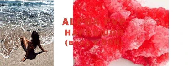 индика Алзамай