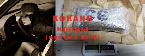 индика Алзамай