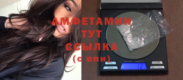 индика Алзамай