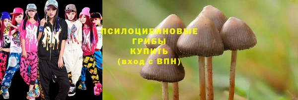 индика Алзамай