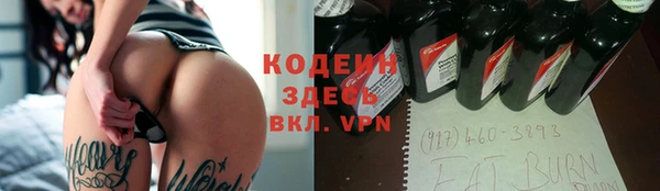 индика Алзамай
