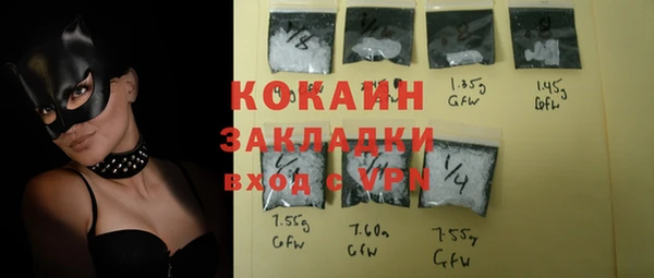 индика Алзамай