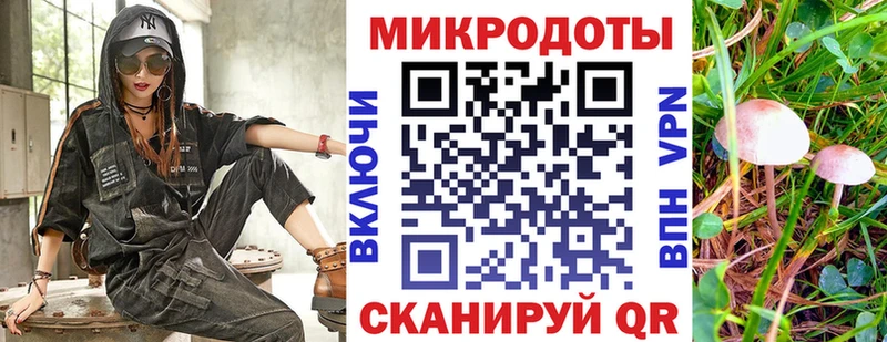 где купить наркоту  Пенза  Псилоцибиновые грибы Cubensis 