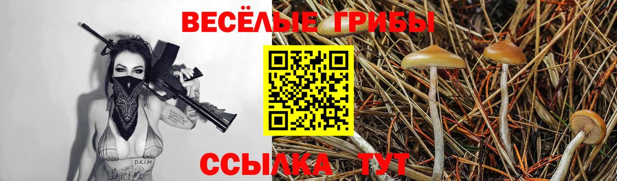 Псилоцибиновые грибы ЛСД Пенза